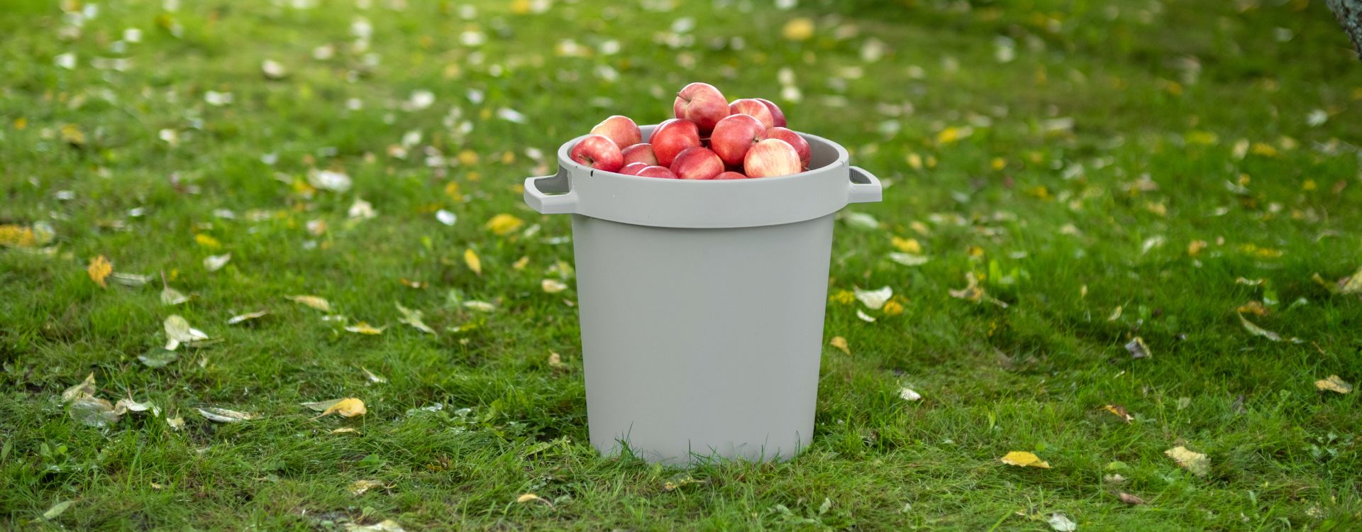 Hyödynnä luonnon antimet