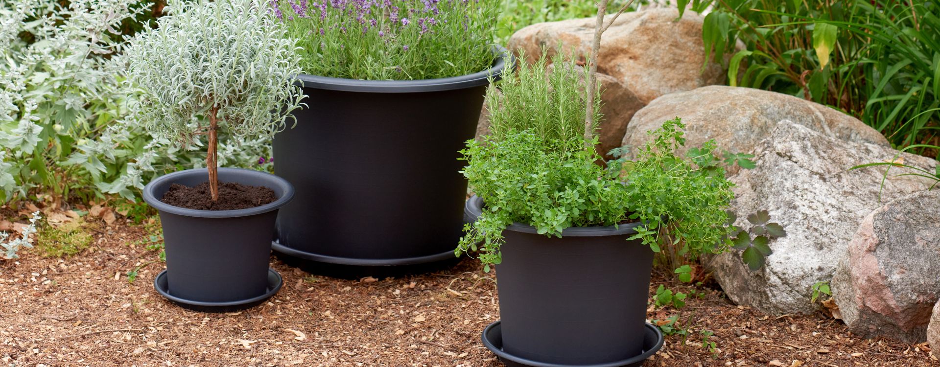 Muoviruukkujen hoito-opas