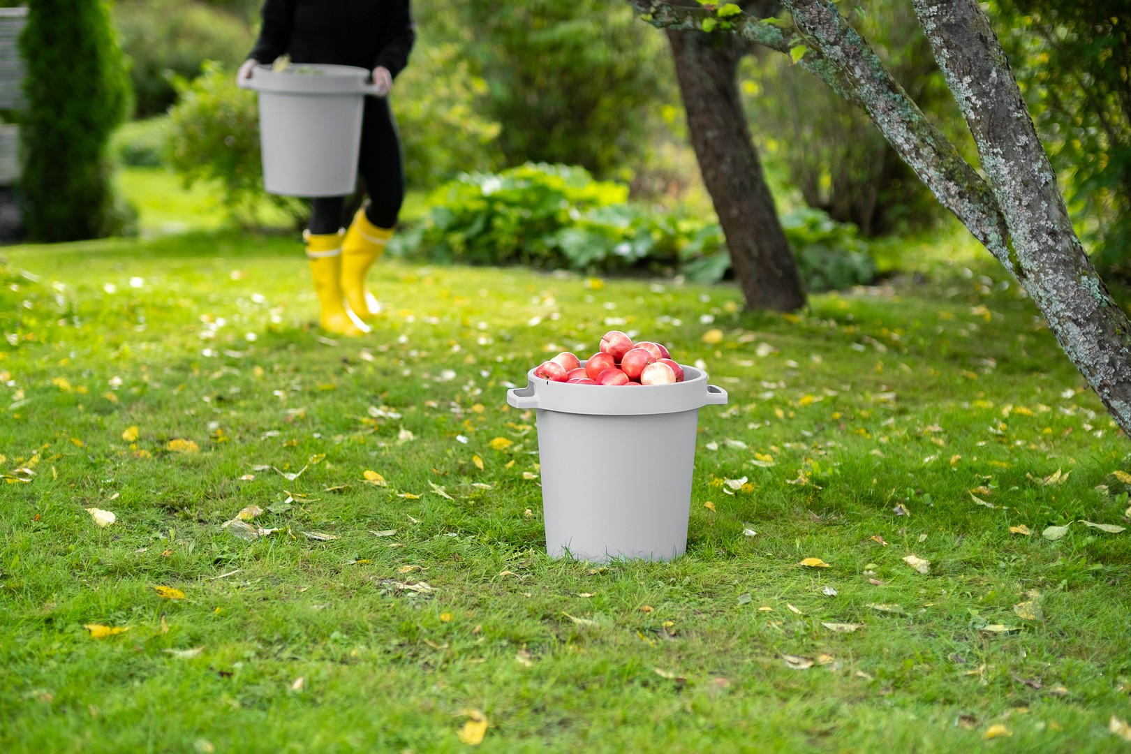 Hyödynnä luonnon antimet