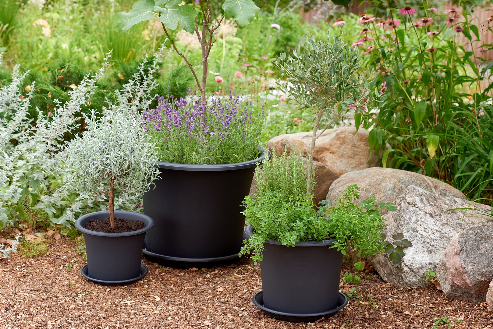 Muoviruukkujen hoito-opas